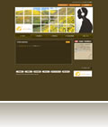 add view project
